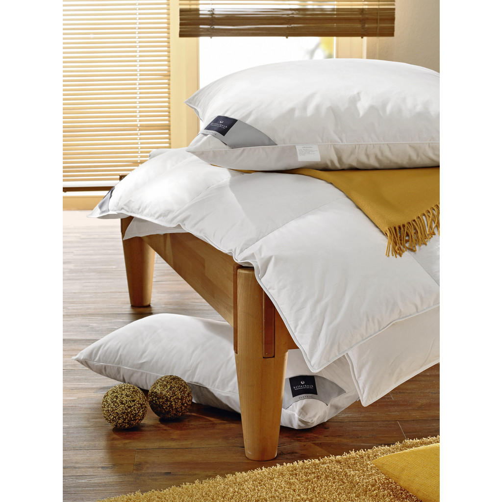 Thumbnail - Billerbeck Kopfkissen Cosidream, Champagner, Textil, 80x80 cm, feuchtigkeitsregulierend, strapazierfähig, Schlaftextilie...