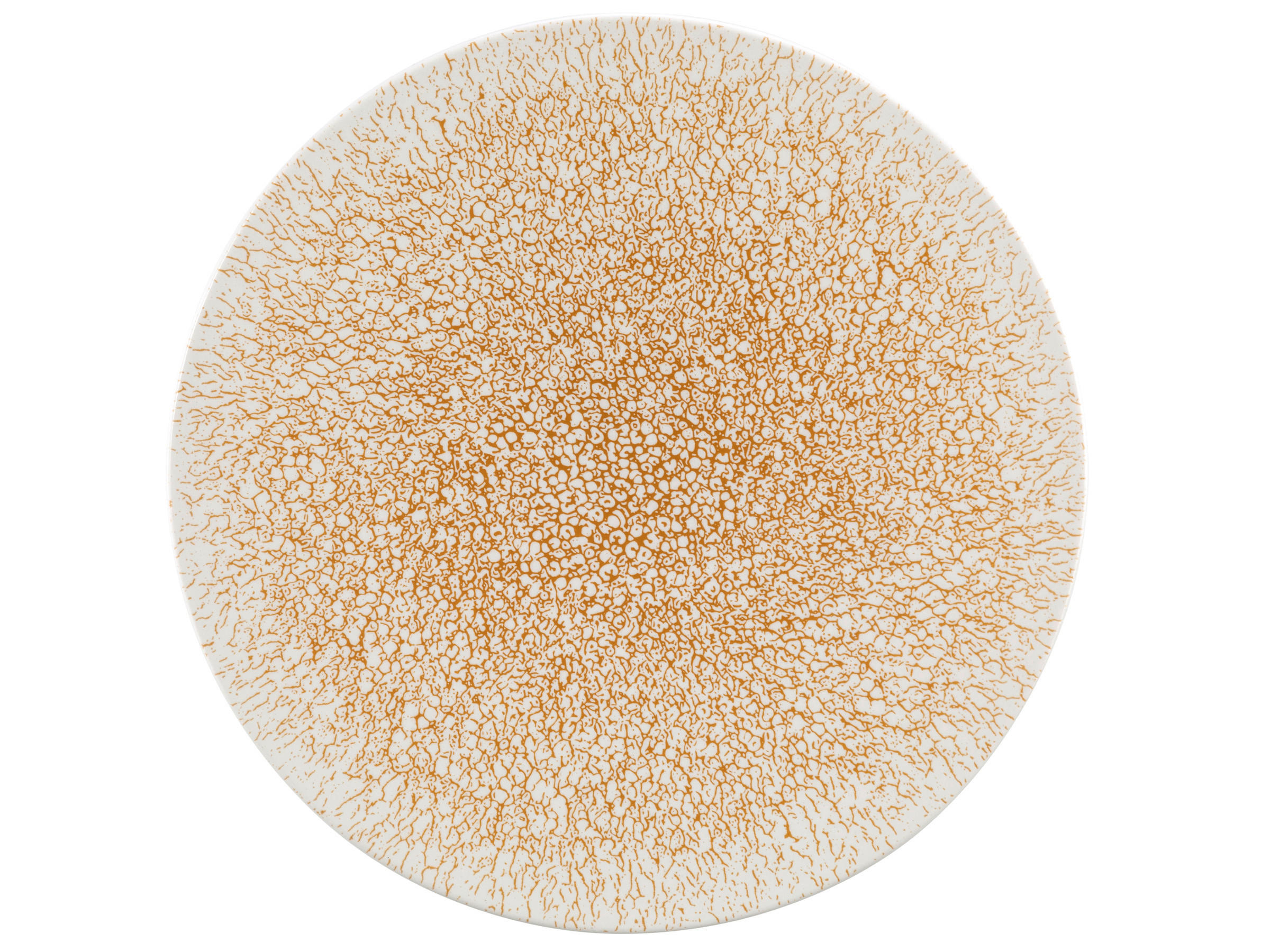 Porzellan FRÜHSTÜCKSTELLER rund - Goldfarben/Weiß, Basics, Keramik (22cm) - Seltmann Weiden
