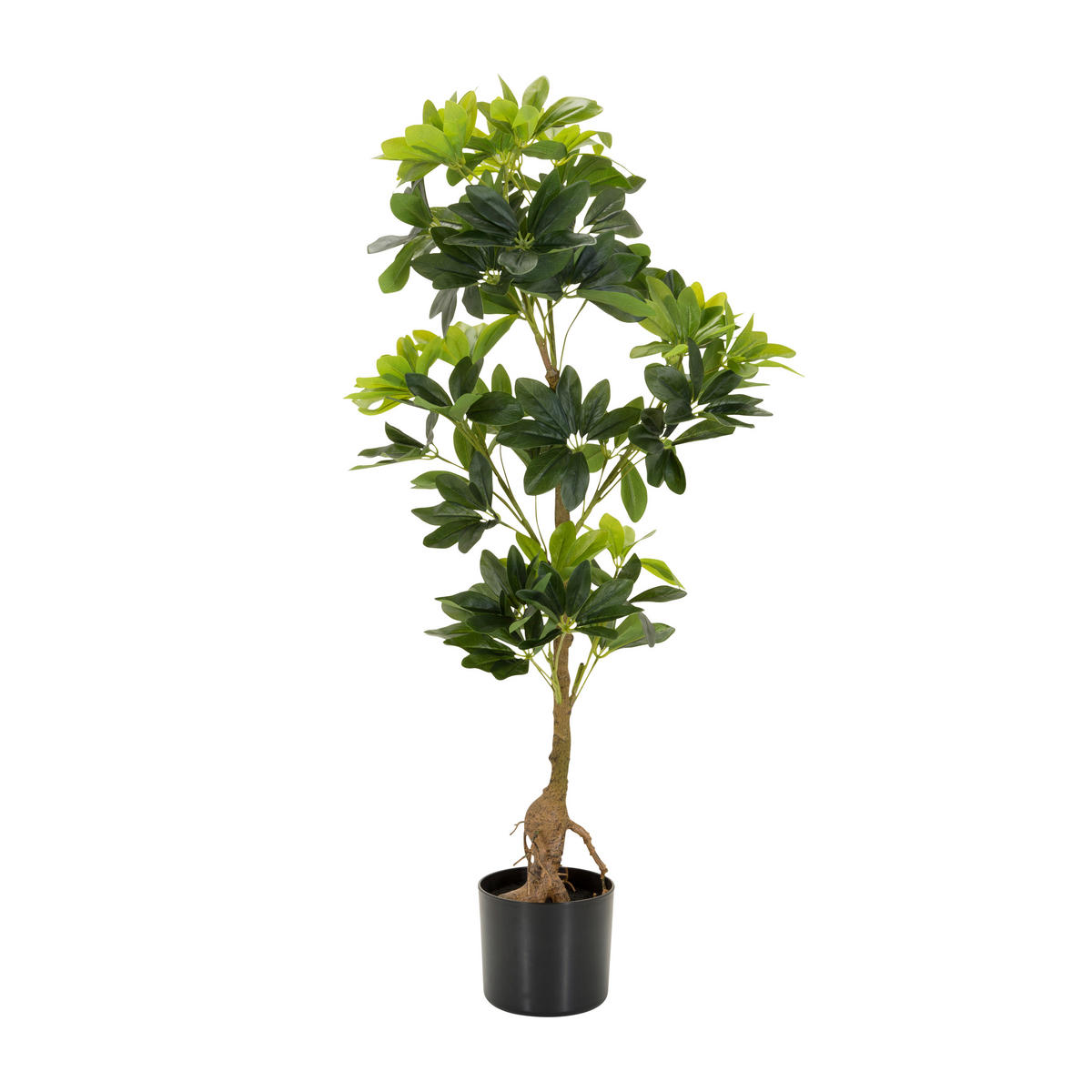 KUNSTPFLANZE  - Schwarz/Braun, Basics, Kunststoff/Textil (38/100/30cm) - MID.YOU