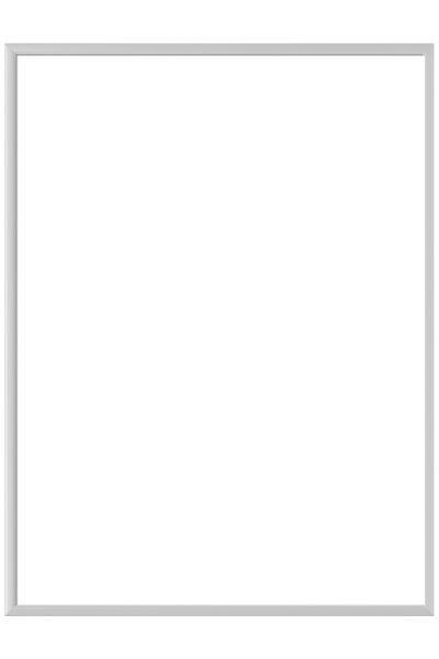 BILDERRAHMEN 60/80 cm  - Silberfarben, Basics, Metall (60/80cm) - Nielsen