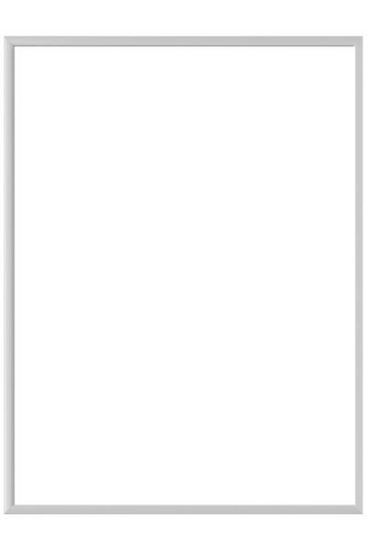 BILDERRAHMEN 60/80 cm  - Silberfarben, Basics, Metall (60/80cm) - Nielsen