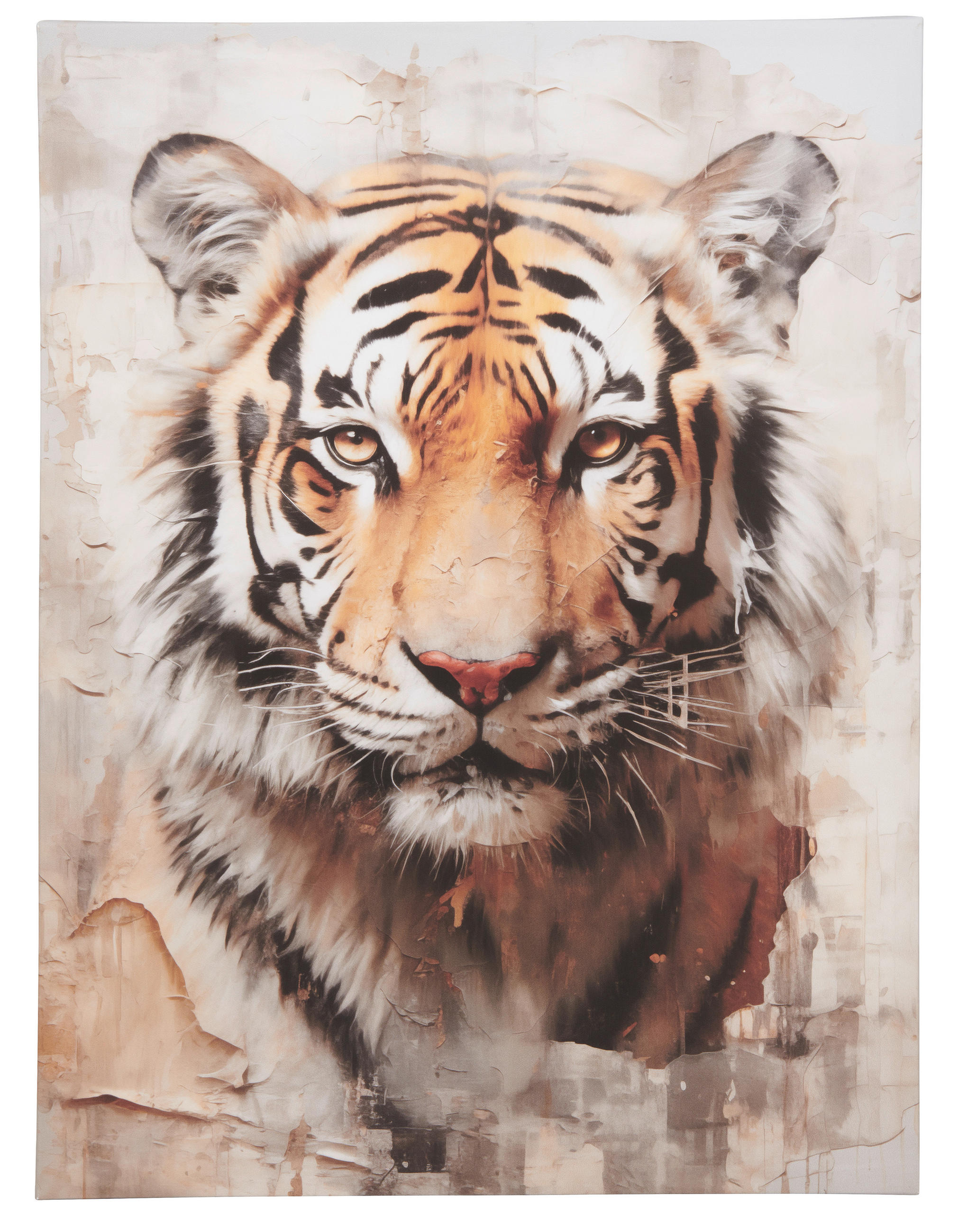 MALBA NA PLÁTNĚ, zvířata, 60/80 cm  - Basics, dřevo/papír (60/80cm)