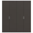 DREHTÜRENSCHRANK  in Graphitfarben  - Edelstahlfarben/Graphitfarben, Basics, Holzwerkstoff/Metall (201/235/61cm) - Novel