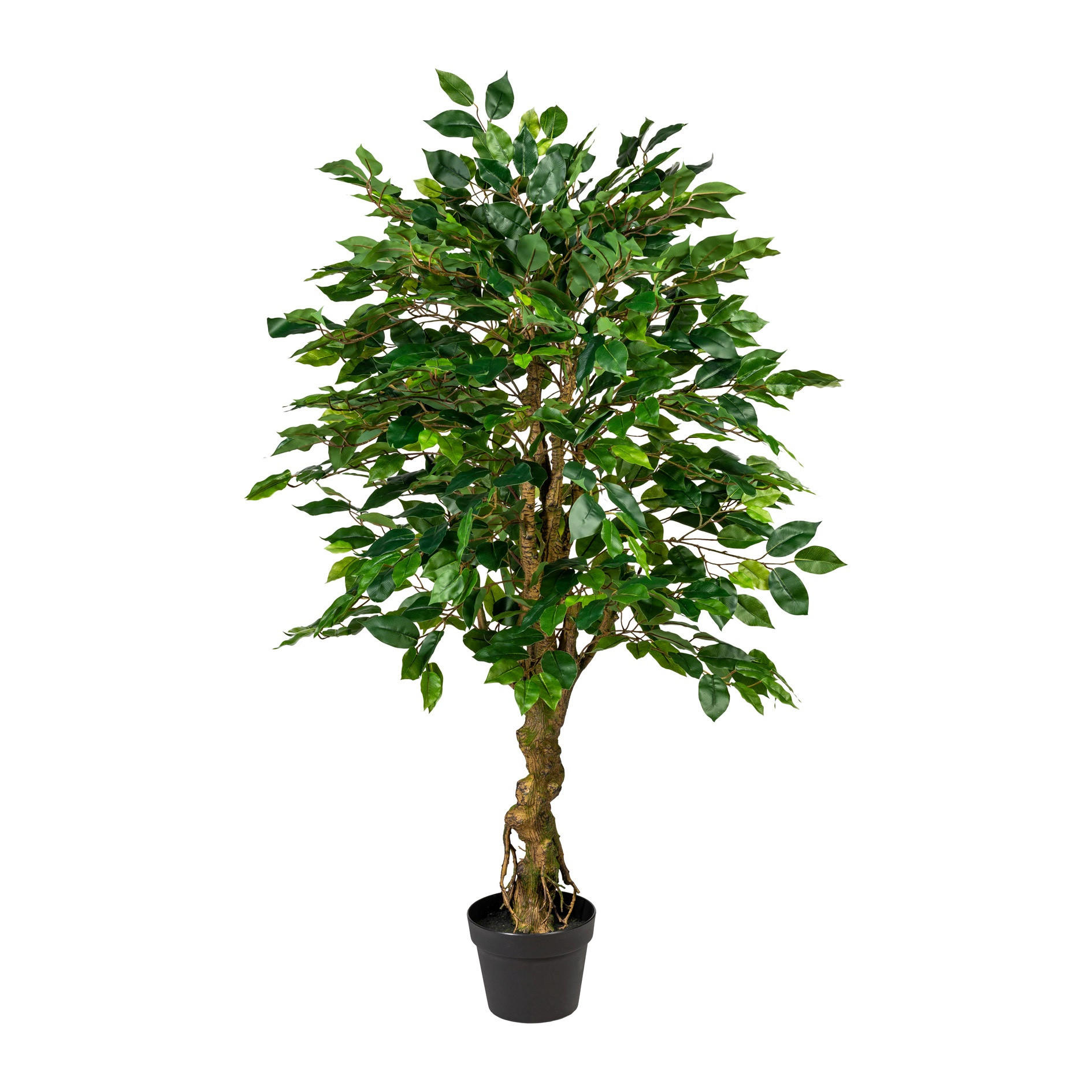 KUNSTPFLANZE Ficus Benjamina 125 cm  - Schwarz/Braun, Design, Kunststoff (125cm) - P & B