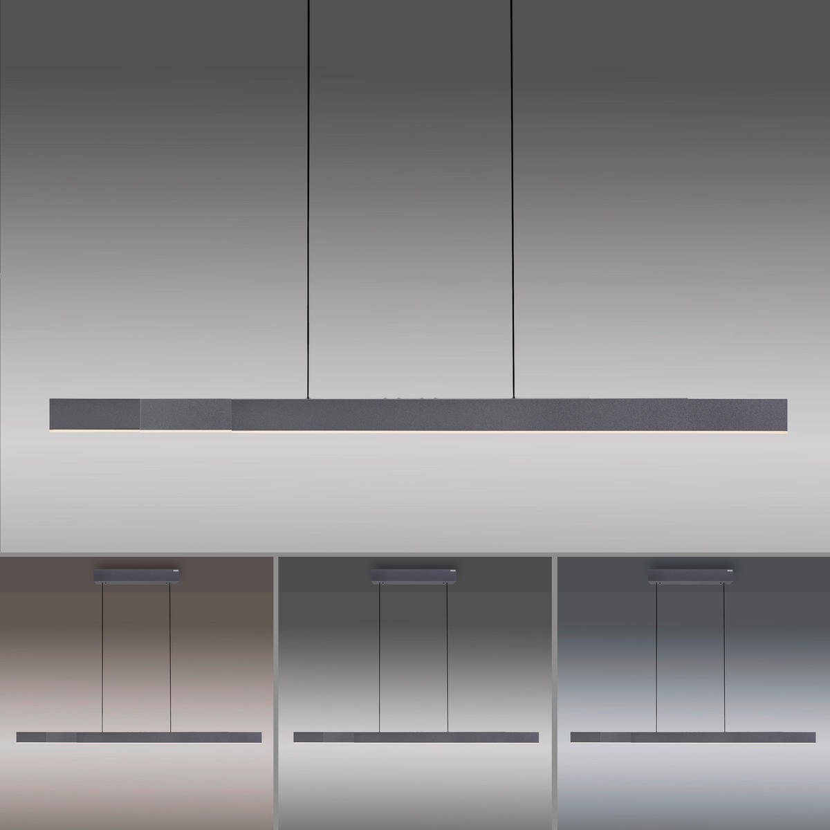 LED-HÄNGELEUCHTE Pure-Moto-Rise 200/8,2/240 cm  - Schwarz, Design, Kunststoff/Metall (200/8,2/240cm) - Neuhaus PURE