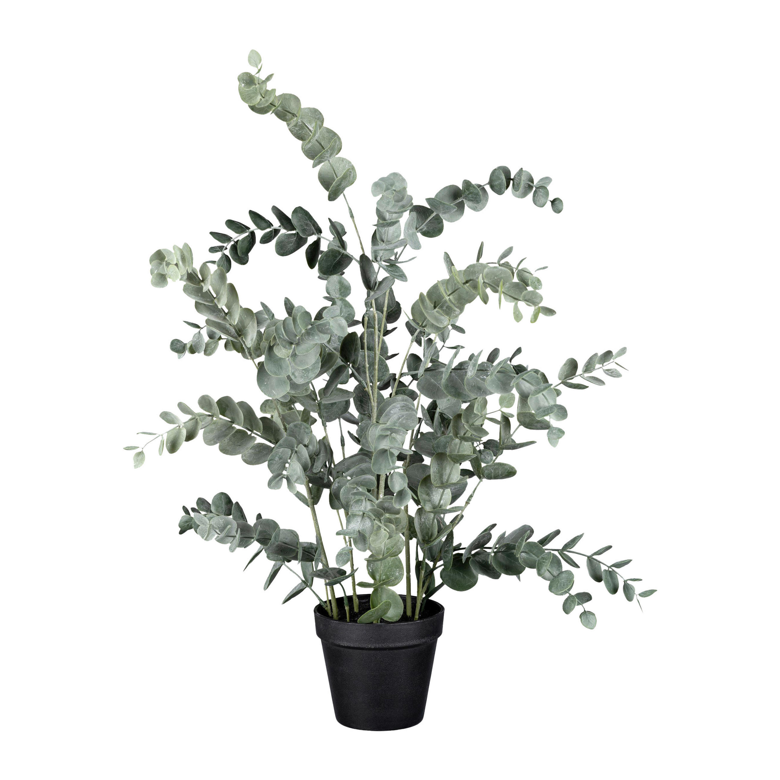 KUNSTPFLANZE Eukalyptus 67 cm  - Grün, Basics, Kunststoff/Metall (67cm)
