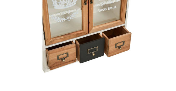 HÄNGEVITRINE  in massiv Tanne Braun, Schwarz, Weiß  - Goldfarben/Schwarz, LIFESTYLE, Glas/Holz (48/62,3/18,5cm) - Landscape