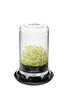 VORRATSGLAS  - Klar/Schwarz, Basics, Glas/Kunststoff (13/18,8cm) - Gefu