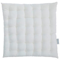 PODUŠKA NA SEDENIE,  - šampanská, Basics, textil (38/38/4cm) - Bio:Vio