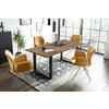 TISCHGRUPPE Gelb, Walnussfarben  - Gelb/Silberfarben, MODERN, Holz/Textil (160/90/75cm) - Livetastic