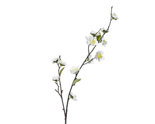 VYKVETLÁ VĚTVIČKA TŘEŠNĚ 70 cm - Basics (70cm)