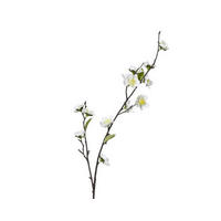 VYKVETLÁ VĚTVIČKA TŘEŠNĚ  - Basics (13,00/6,00/70,00cm)