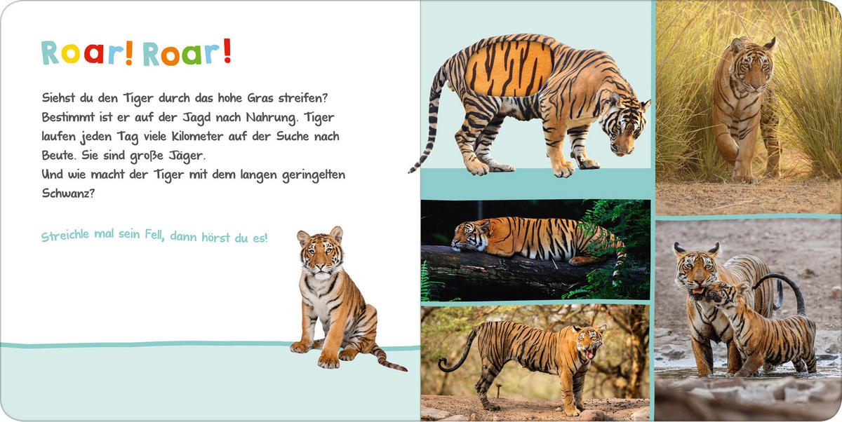 BUCH - Multicolor, Basics, Papier (19,5/19,5/1,8cm)