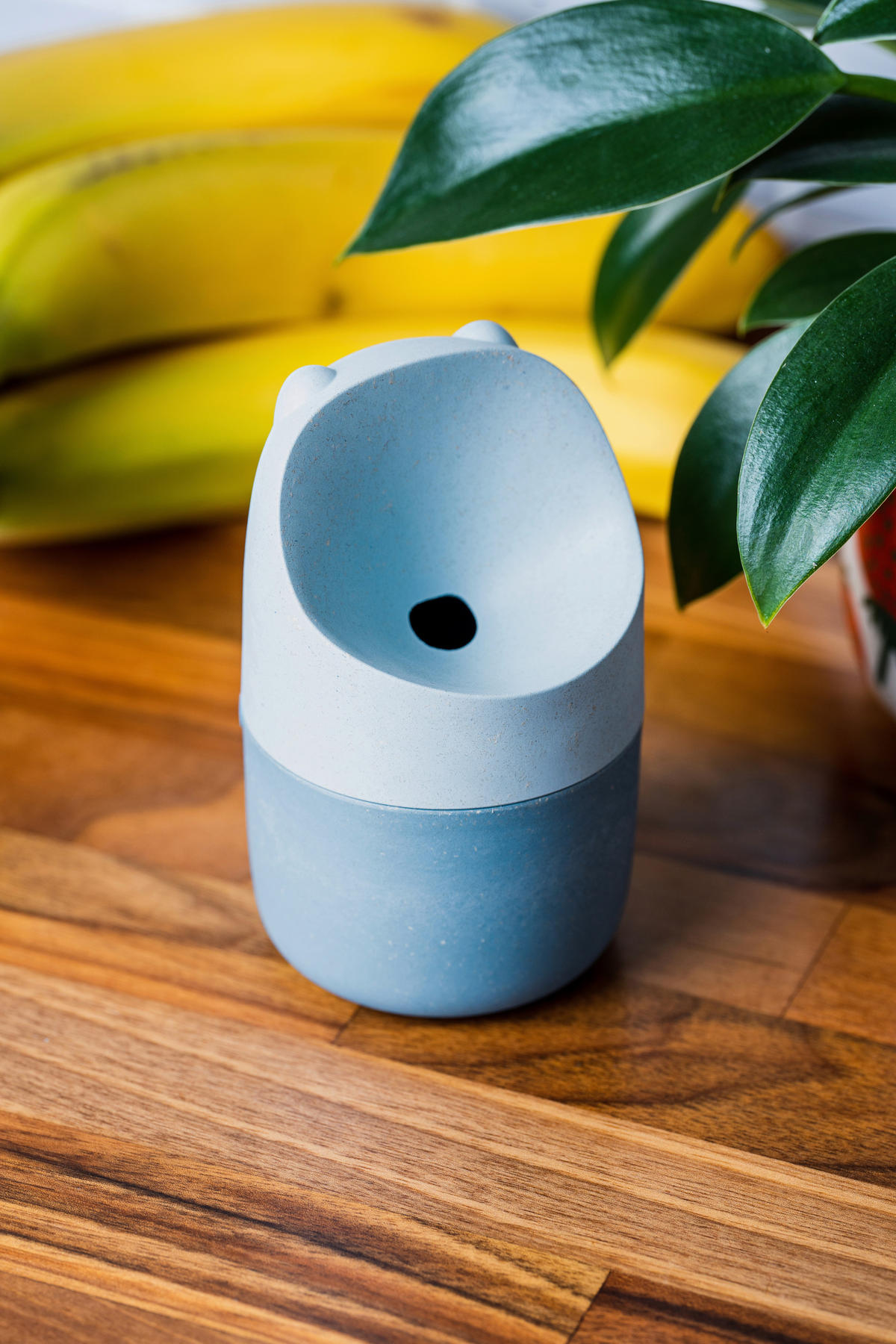 FRUCHTFLIEGENFALLE - Pastellblau, Basics, Holzwerkstoff/Kunststoff (6,9/11cm) - HAPPY SINKS