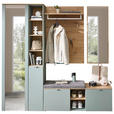 GARDEROBE 4-teilig  in 206/202/38 cm  - Salbeigrün, Design, Glas/Holzwerkstoff (206/202/38cm) - Xora