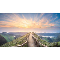 LEINWANDBILD Landschaft & Natur  - Multicolor, Natur, Holz/Papier (180/100/3cm)