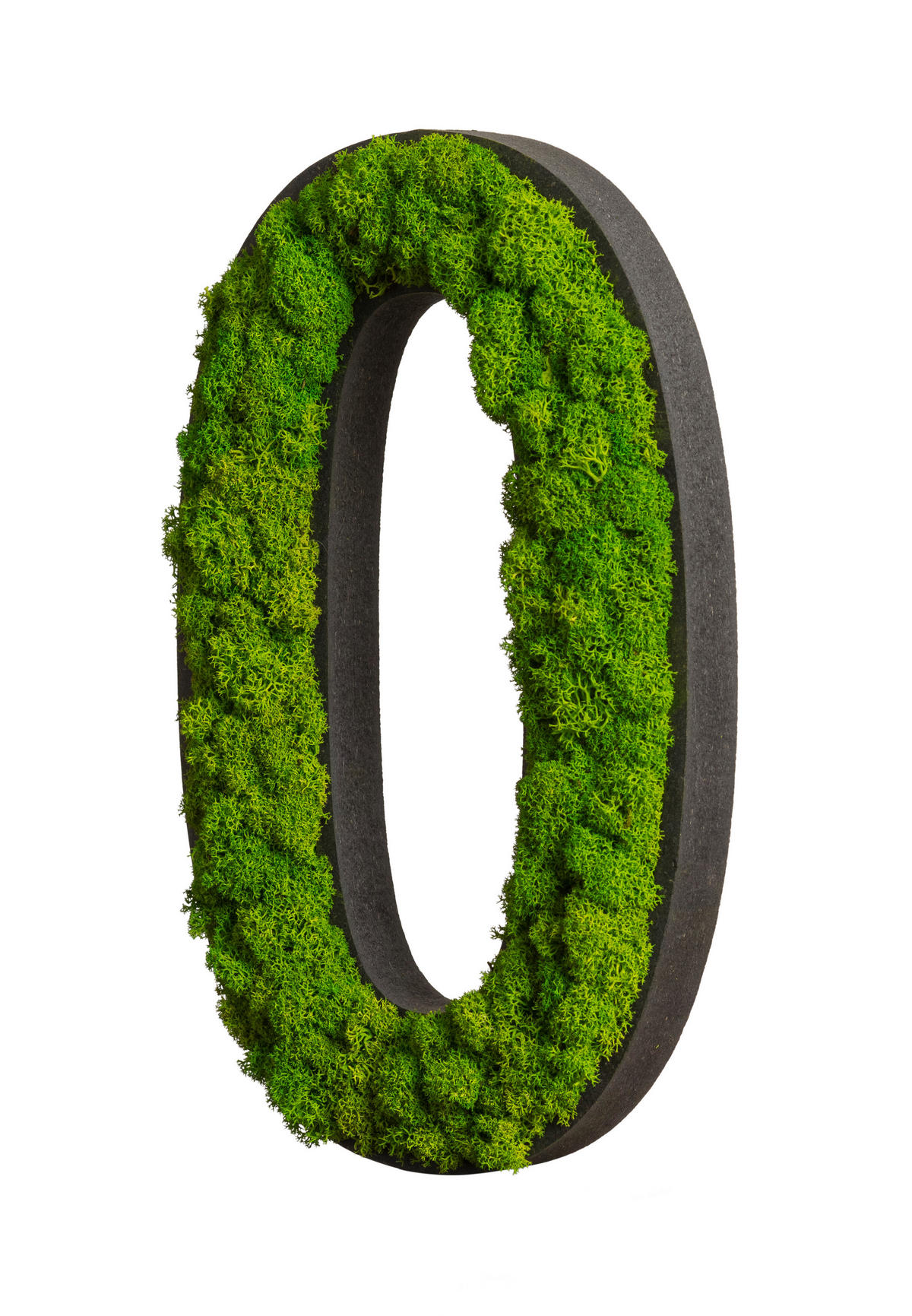 MOOSBILD Stylegreen  - Schwarz/Grün, Basics, Naturmaterialien/Holz (25/16/2,5cm)