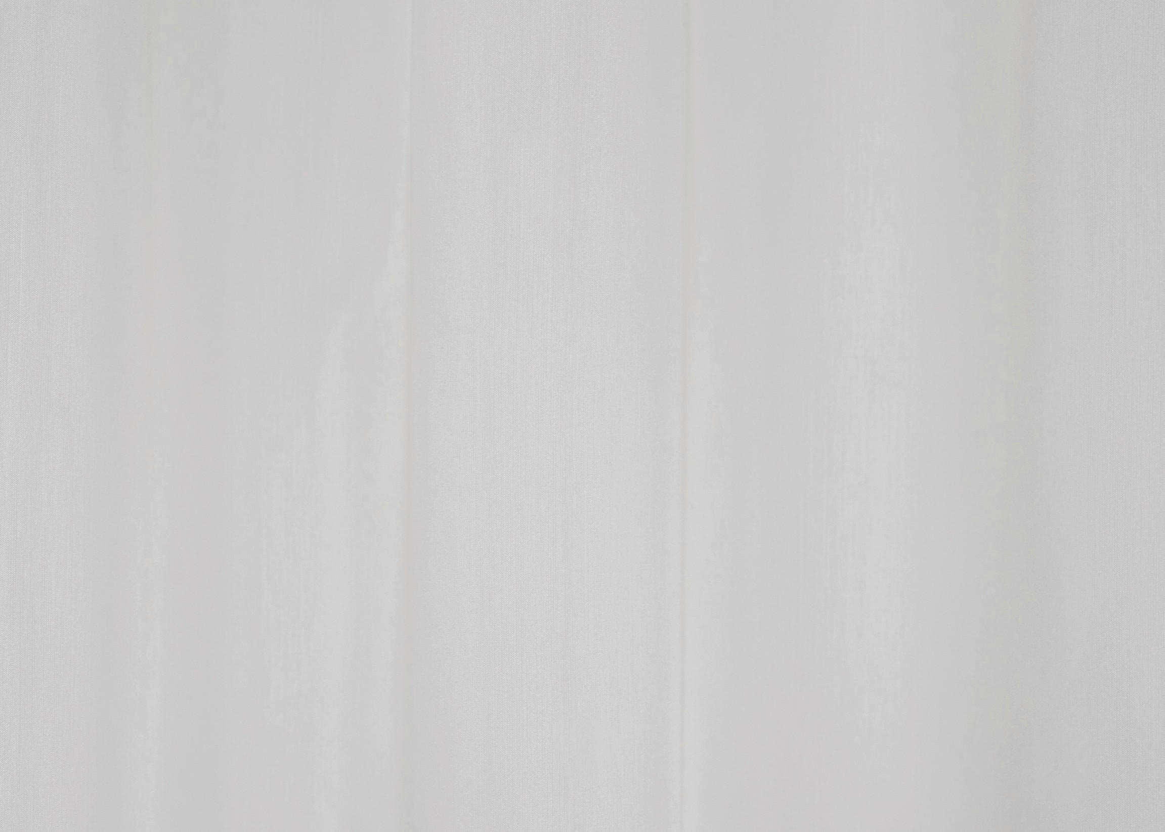 PROSOJNO BLAGO ZA ZAVESE  2024 AUTUMN          360 cm   ekru  - ekru, Basics, tekstil (360cm)