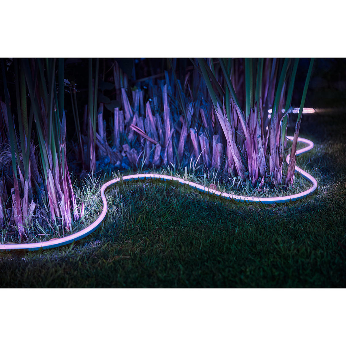 LED-STRIP Hue 199 cm   - Transparent, Design, Kunststoff (199cm) - Philips HUE