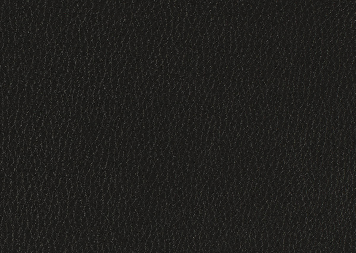 RÉCAMIERE in Echtleder Schwarz  - Chromfarben/Schwarz, Design, Leder/Metall (209/85-109/95-16cm) - Dieter Knoll