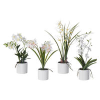 ORHIDEJA  - bijela/zelena, Basics, tekstil/plastika (45-55cm)