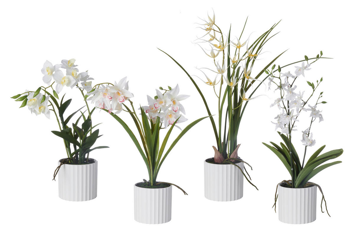 ORHIDEJA  - bijela/zelena, Basics, tekstil/plastika (45-55cm)