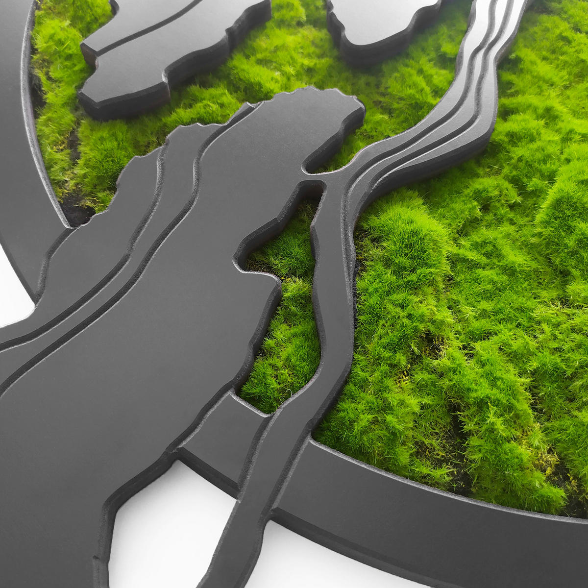 MOOSBILD  - Dunkelgrün/Schwarz, Basics, Holz/Kunststoff (100/50cm)