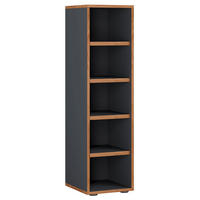 SCHUHREGAL 30/110/33 cm  - Honigeiche/Anthrazit, Design, Holzwerkstoff/Kunststoff (30/110/33cm) - MID.YOU