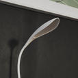 SCHREIBTISCHLEUCHTE Propus 22/17/37,5 cm  - Weiß, Basics, Kunststoff (22/17/37,5cm) - Novel