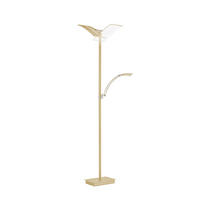 STOJACÍ LED SVÍTIDLO, 31/21/182 cm - šampaňská, Basics, kov (31/21/182cm) - Hell