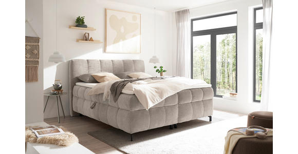 BOXBETT 180/200 cm  in Creme  - Creme/Schwarz, KONVENTIONELL, Kunststoff/Textil (180/200cm) - Hom`in