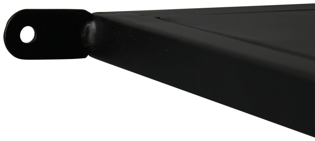 WANDGARDEROBE  in Schwarz  - Schwarz, MODERN, Glas/Metall (50/190/25cm)