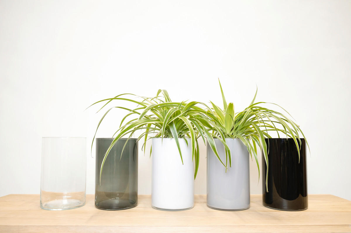 VASE  - Basics, Glas (61/82/115cm)