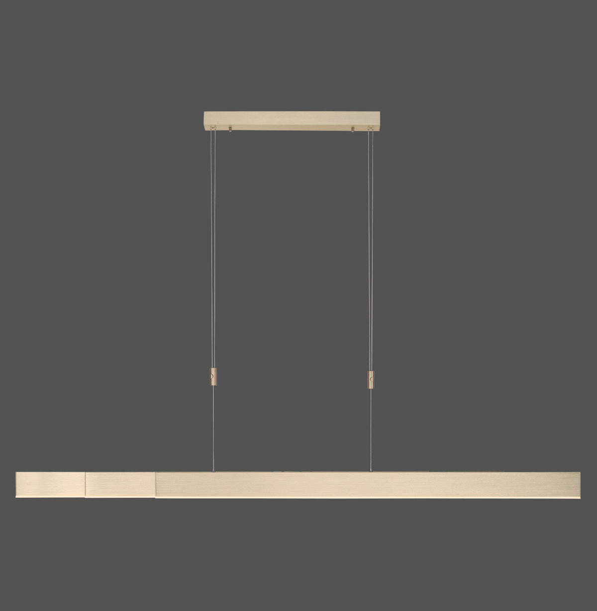 LAMPĂ SUSPENDATĂ CU LED 110-200/5,5/110-200 cm  - Design, plastic/metal (110-200/5,5/110-200cm)