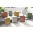 SCHUHSCHRANK Alice Springs  in 74,5/99,1/34,9 cm  - Sandfarben/Grau, MODERN, Holzwerkstoff/Kunststoff (74,5/99,1/34,9cm) - Xora