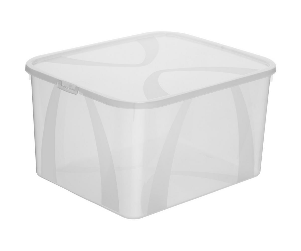 BOX MIT DECKEL ARCO  - Transparent, Basics, Kunststoff - Rotho