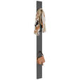 GARDEROBENPANEEL  in 14/170/5 cm  - Grau, Design, Holzwerkstoff (14/170/5cm) - Dieter Knoll