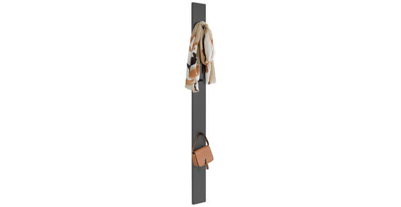 GARDEROBENPANEEL  in 14/170/5 cm  - Grau, Design, Holzwerkstoff (14/170/5cm) - Dieter Knoll