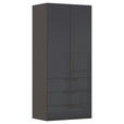 DREHTÜRENSCHRANK 101/223/61 cm,  in Graphitfarben, 2-türig  - Graphitfarben, Basics, Glas/Holzwerkstoff (101/223/61cm) - Novel