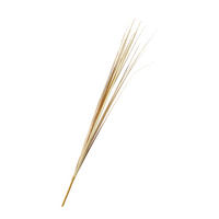 DEKORAČNÁ VETVIČKA škripík 85 cm - piesková, Basics, plast (85cm)