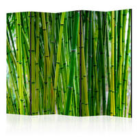 PARAVENT mit 5  Flügel - Hellgrün, Basics, Holz/Textil (225/172/3cm) - artgeist