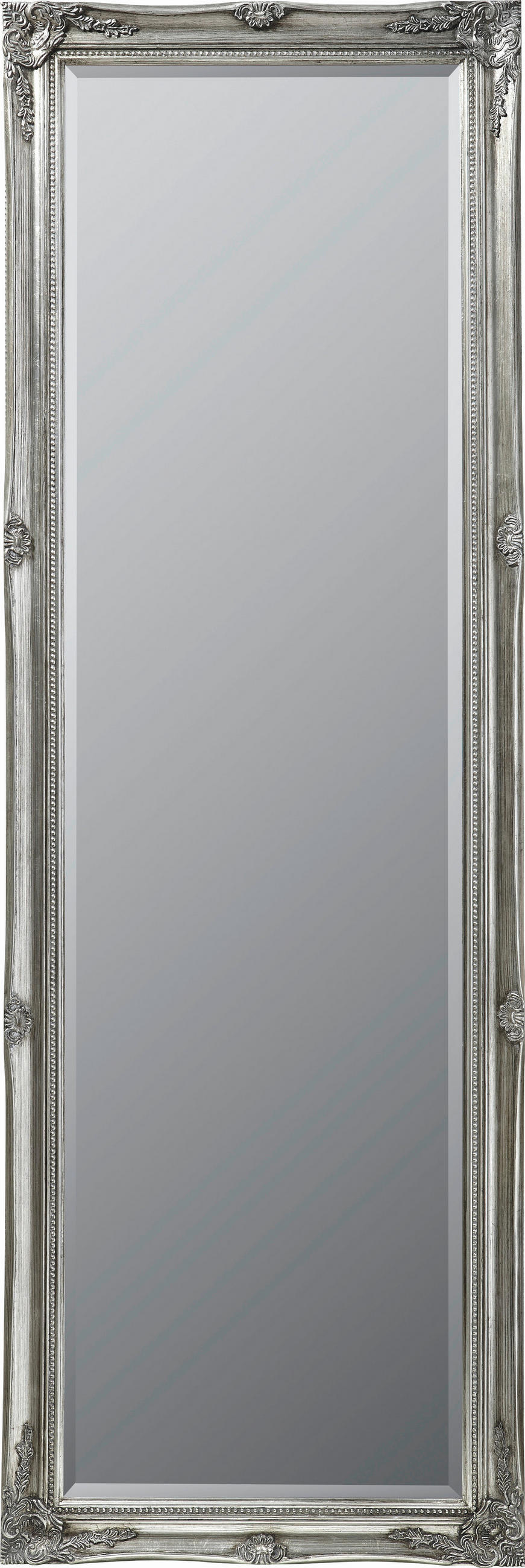 Landscape NÁSTĚNNÉ ZRCADLO 50/150/3,3 cm