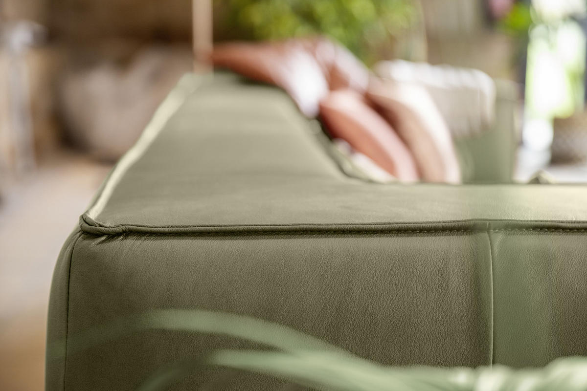 3-SITZER-SOFA in Echtleder Grün  - Schwarz/Grün, Modern, Leder/Kunststoff (260/66/104cm) - W.Schillig