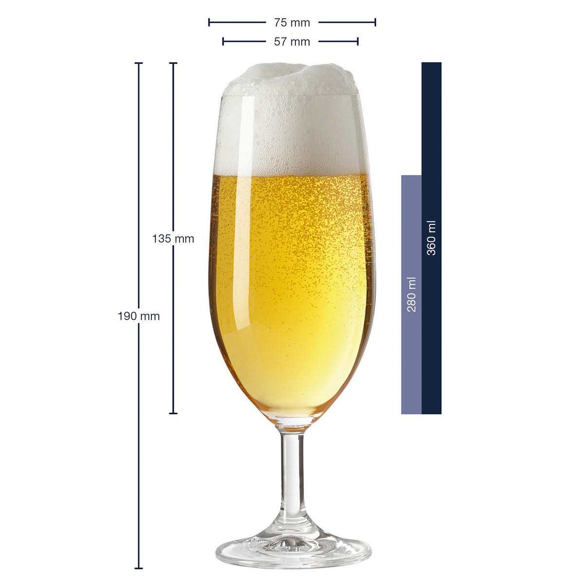 GLÄSERSET Daily  6-teilig  - Klar, Basics, Glas (19/7,5cm) - Leonardo