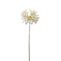 KUNSTPFLANZE Schmucklilie 80 cm  - Creme/Braun, Basics (80cm)