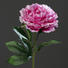 KUNSTBLUME - Pink/Grün, Basics, Kunststoff/Textil (63cm) KUNSTBLUME - Pink/Grün, Basics, Kunststoff/Textil (63cm)