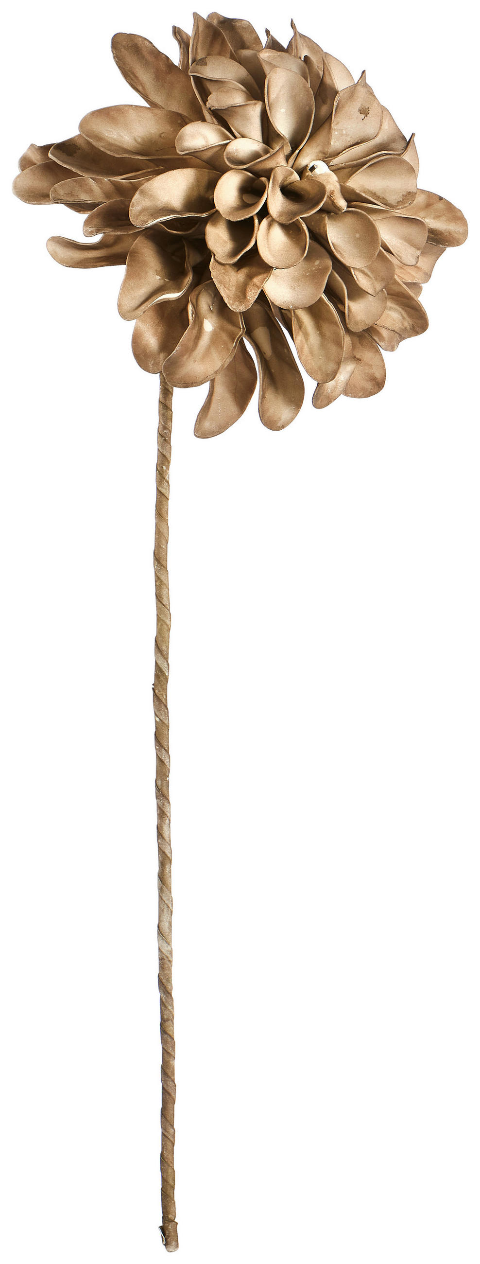 KUNSTBLUME  - Taupe/Braun, Basics, Kunststoff/Metall (78cm) - Ambia Home