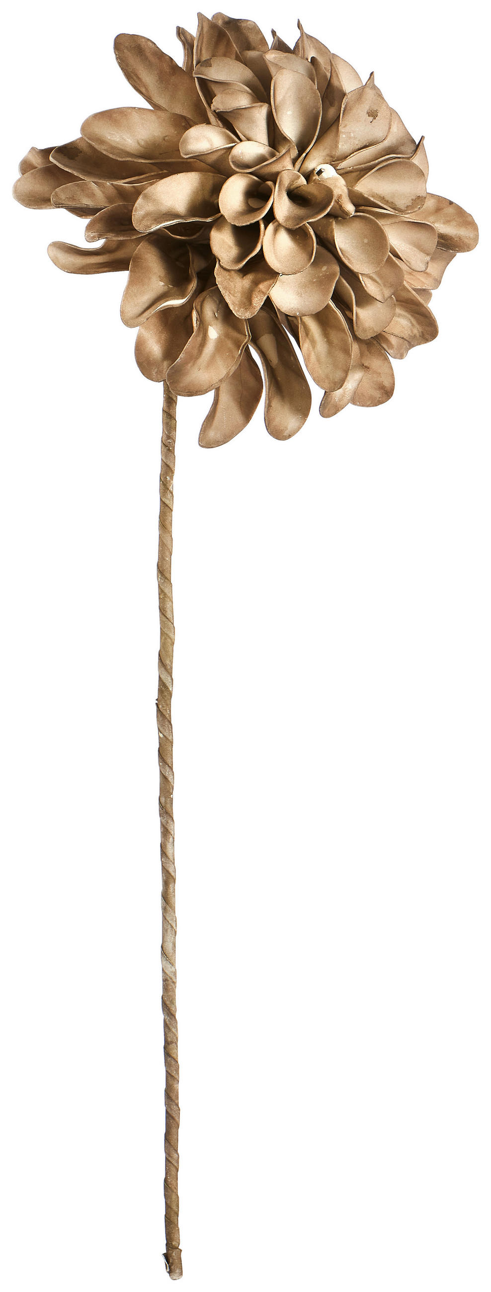 KUNSTBLUME  - Taupe/Braun, Basics, Kunststoff/Metall (78cm) - Ambia Home