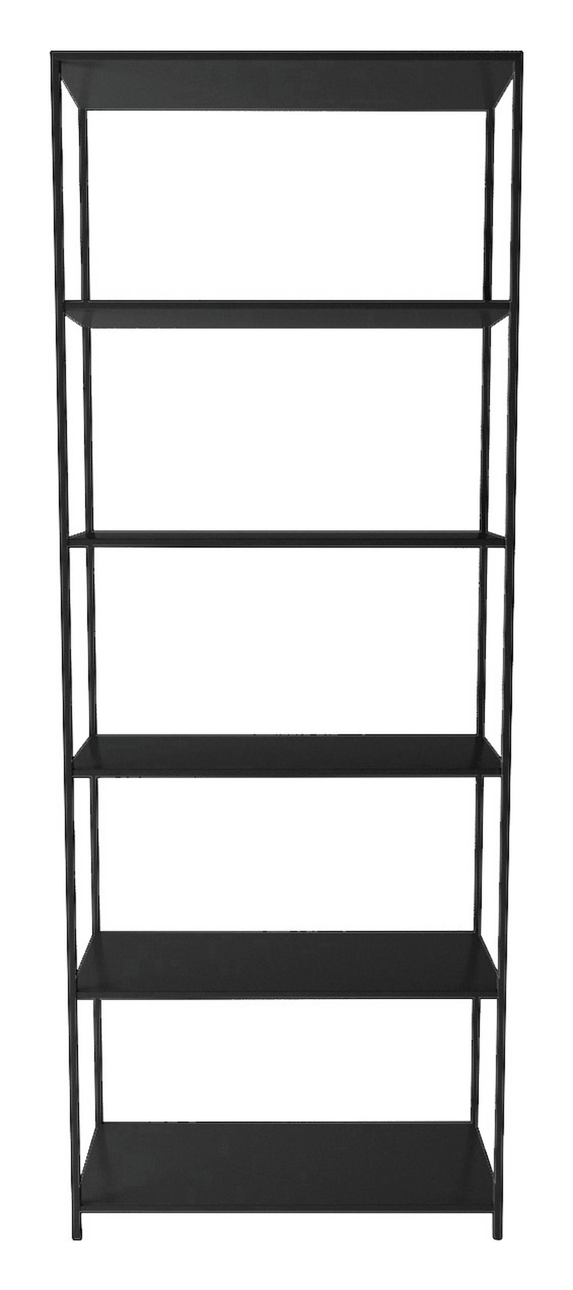REGAL Schwarz  - Schwarz, Trend, Metall (69,5/185/30cm) - MID.YOU