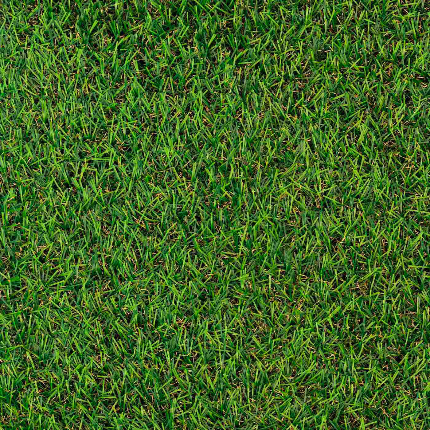 GYEPSZŐNYEG   - Basics, textil (100/400cm) - Boxxx